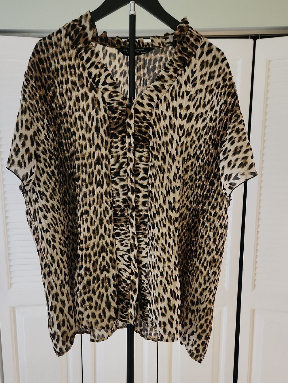 Leopard Print V-Neck Blouse in Beige and Brown.